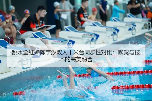 跳水全红婵陈芋汐双人十米台同步性对比：默契与技术的完美融合